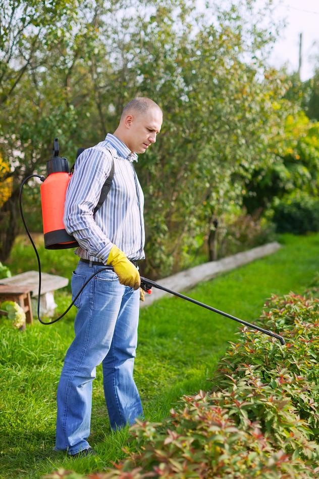 residential pest control el segundo ca